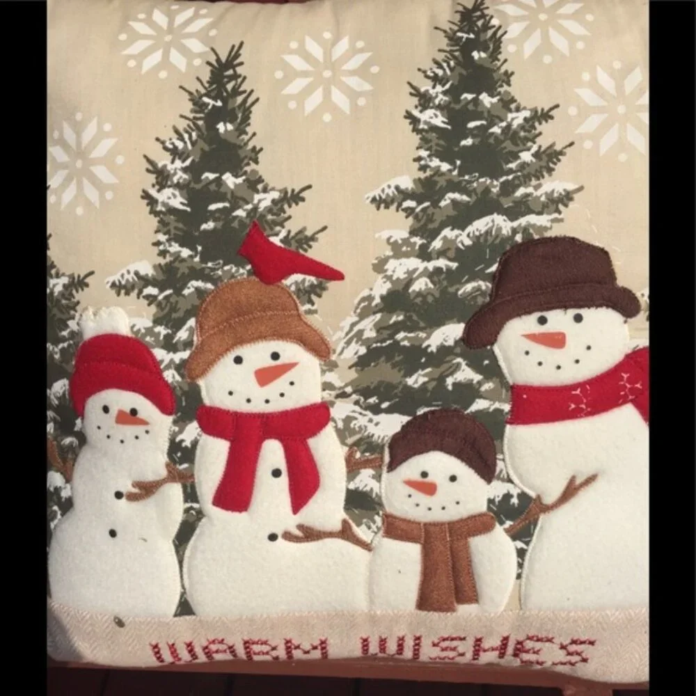 Pair of winter themed pillows